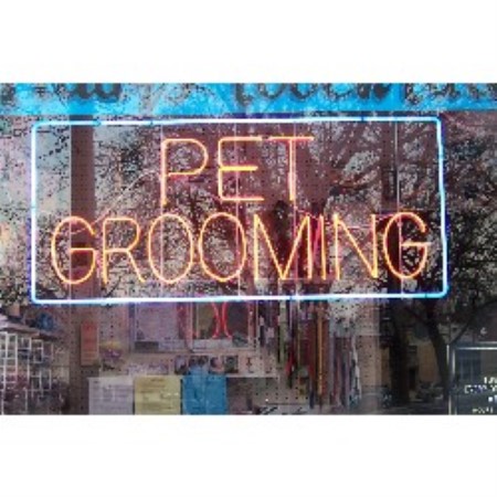 Dog Groomer in Pennsylvania