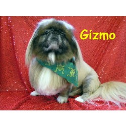 Dog Groomer ,Dog GroomerMaryland