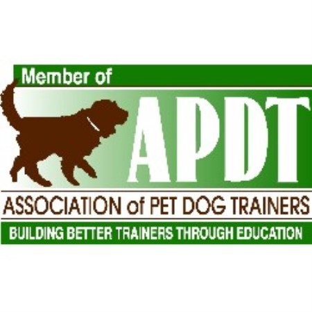 Dog Training ,Dog TrainingOhio
