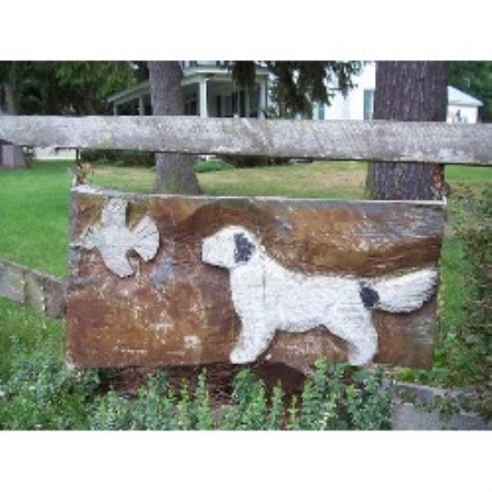 Dog Kennels Bloomsburg Dog Kennels Bloomsburg