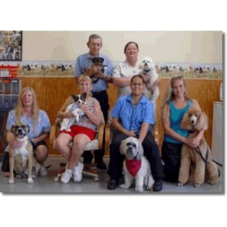 Dog Groomer - Fort Pierce, Florida