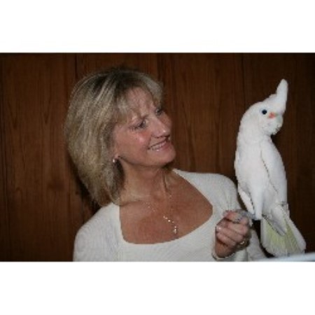 Taz and Me