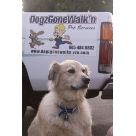 Dog barking behavior expert in Camarillo, California
