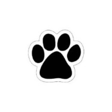 Pawes