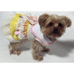 Dog Groomer ,Dog GroomerMassachusetts