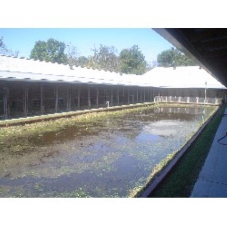 Boarding Kennels ,Boarding KennelsLouisiana