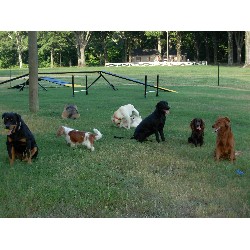 Boarding Kennels ,Boarding KennelsMississippi