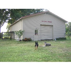 Cat Track Kennels