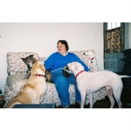 A Lifetime of Petcare Experience