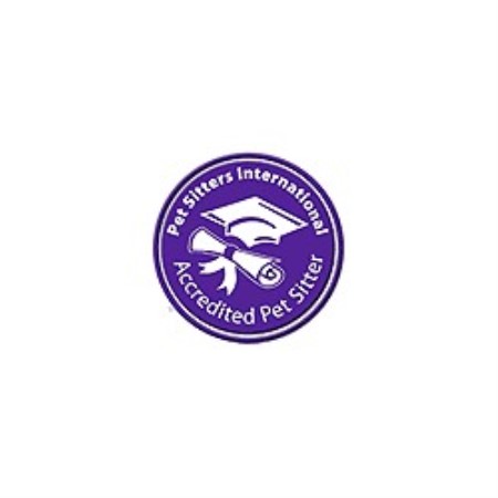 PSI Logo