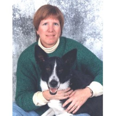 Free Dogs In Simpsonville Sc Free Dogs In Simpsonville Sc