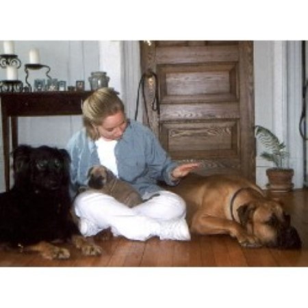 Christi and dogs