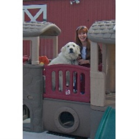 Dog Groomer ,Dog GroomerBoarding KennelsTexas