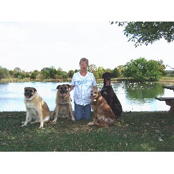 My pack