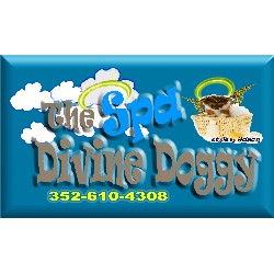 Pet Grooming in Spring Hill, Florida
