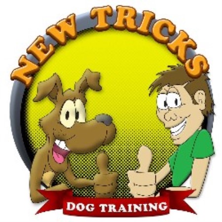 NTDTlogo