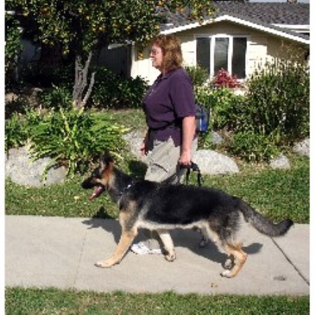 GSD learning HEEL