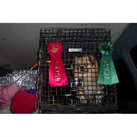 Howie and Ribbons