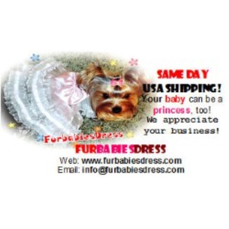 Dog Boutique/Barkery in Oregon