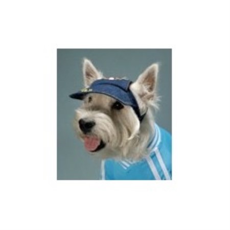 Dog Groomer ,Dog GroomerBritish Columbia