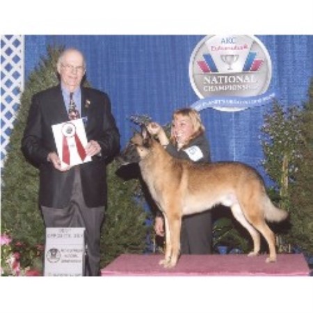 Sara showing at Eukanuba National Championships