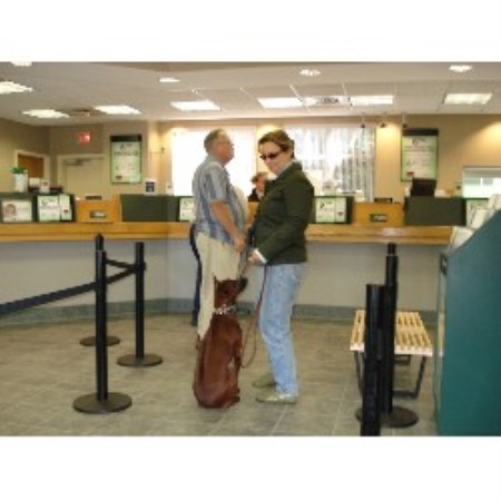 Boarding Kennels ,Boarding KennelsPet SittingPet SittingMaine