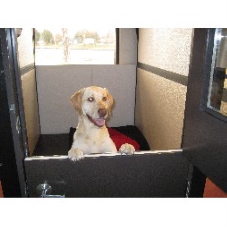 Best Dog Groomer Longmont Best Dog Groomer Longmont