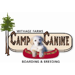 Dog Groomer ,Boarding Kennels in Minnesota