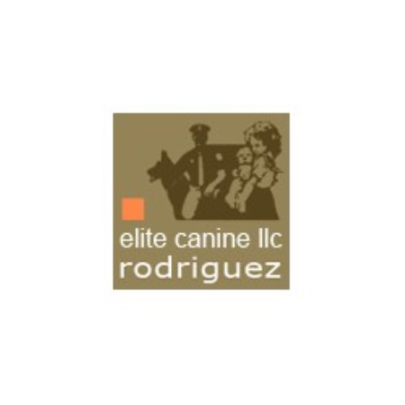 Dog Training in Connecticut