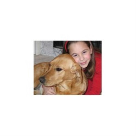 Dog Training in Connecticut