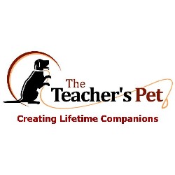 Dog Training in Arizona