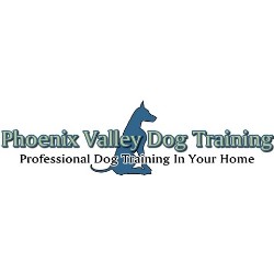 PVDT Logo