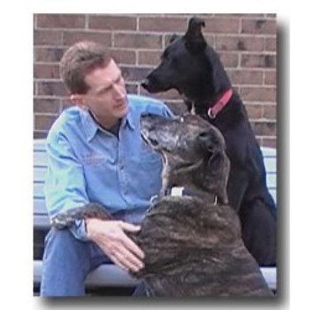 The K9 Guy and Friends