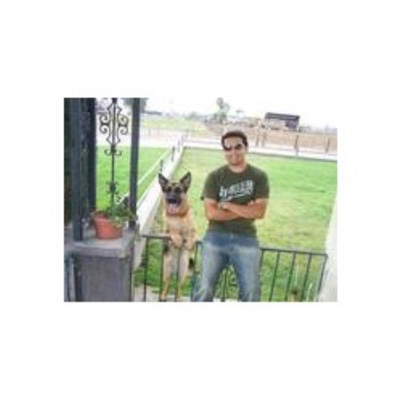 Dog Groomer ,Dog GroomerBoarding KennelsCalifornia