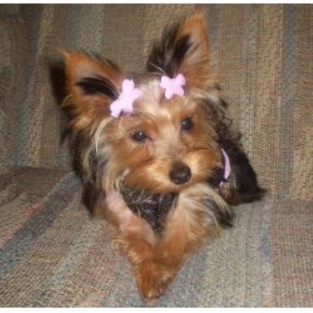 My Lola