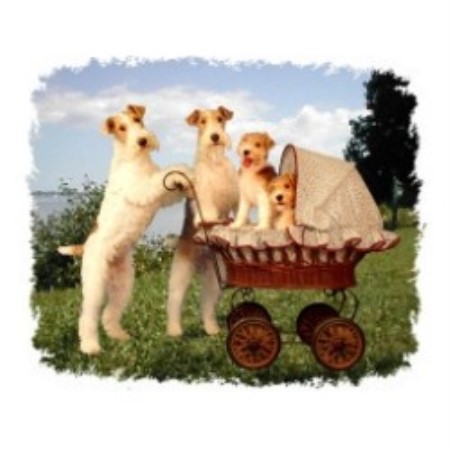 Fanciful Photos