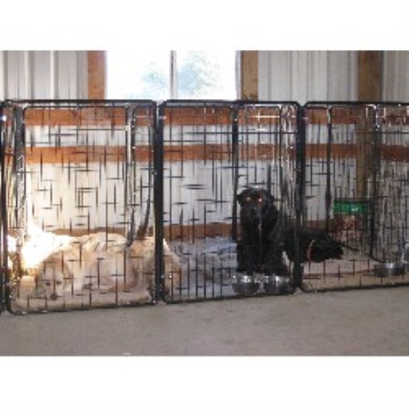Boarding Kennels ,Boarding KennelsVet ServicesWashington