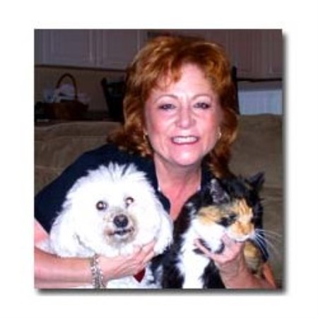 Dog Boarding Rockledge Fl Dog Boarding Rockledge Fl