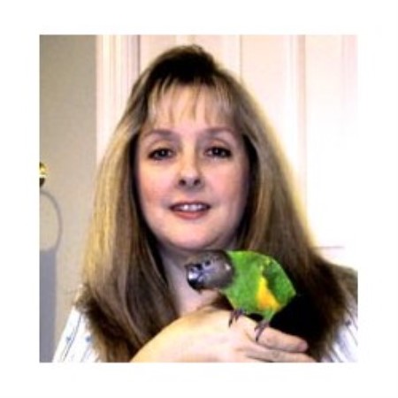 Pet Sitter St Petersburg FL