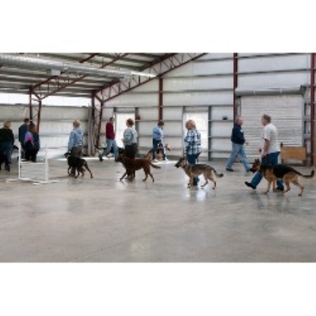 Dog Groomer ,Dog GroomerBoarding KennelsKentucky