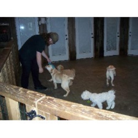 Dog Groomer ,Dog GroomerBoarding KennelsKentucky