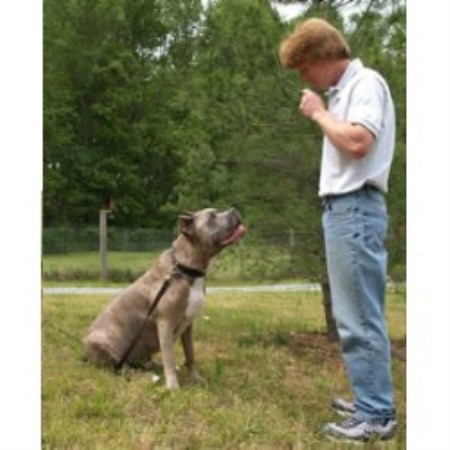 Adam Campbell- Professional Trainer