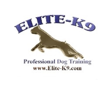 Dog Training in Michigan