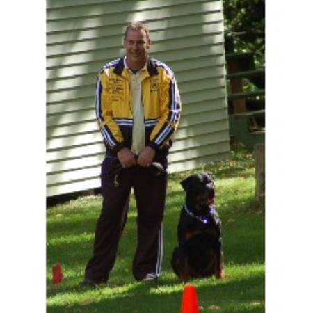 Dog Training in Michigan