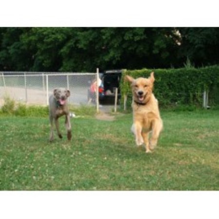 Playgroup