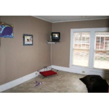 Dog Groomer ,Dog GroomerBoarding KennelsMississippi