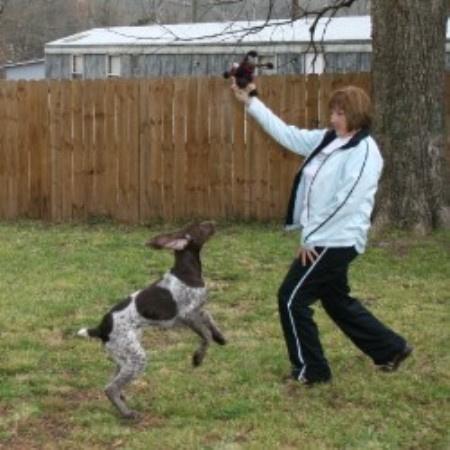 Dog Groomer ,Dog GroomerBoarding KennelsMississippi