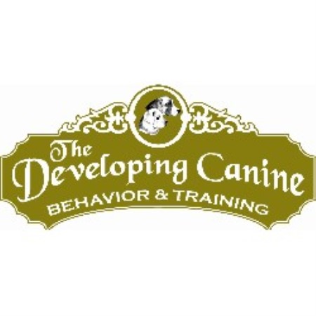 Dog Grooming Columbus Georgia Dog Grooming Columbus Georgia