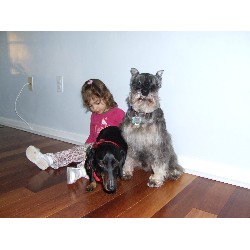 Pet Sitting ,Pet SittingDog TrainingNew Hampshire