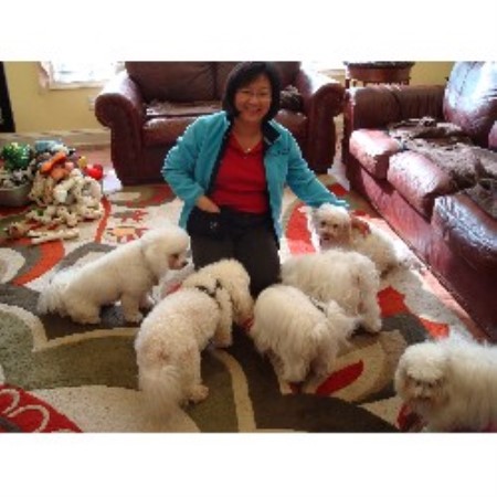 Dog barking behavior expert in Camp Hill, Pennsylvania